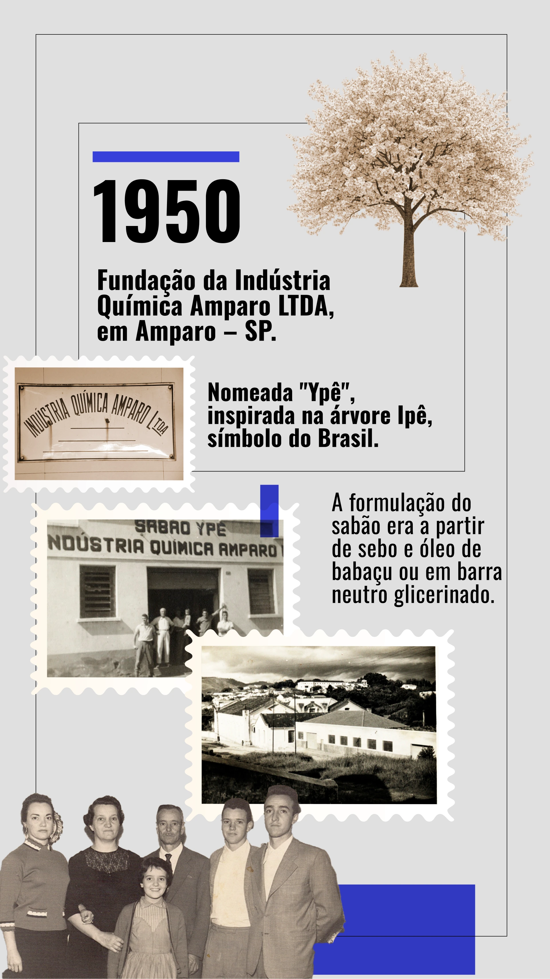 Linha do tempo